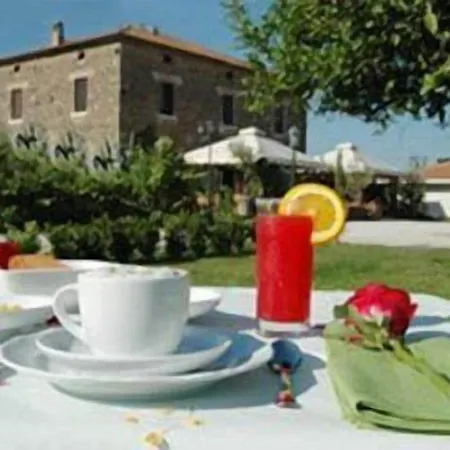 Casale 900 *