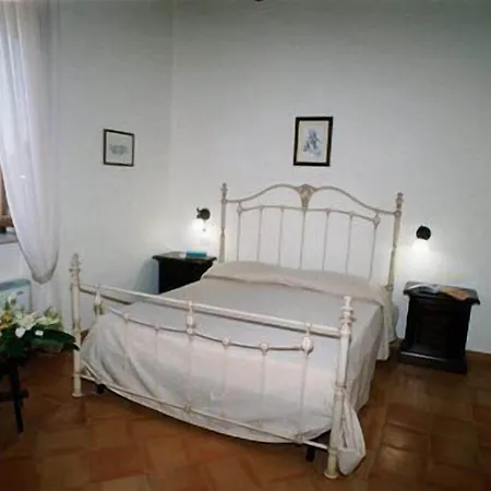Casale 900 *