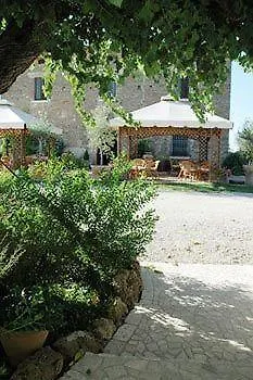 Casale 900
