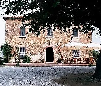 Casale 900