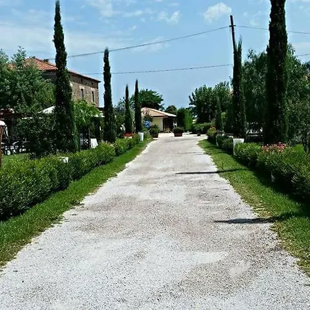 Casale 900